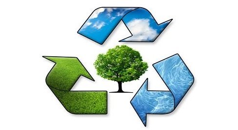 Environmentální výchova
