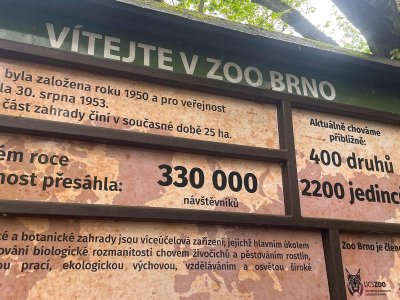 V Zoologické zahradě Brno - 10. dubna 2024 - foto: Mathias