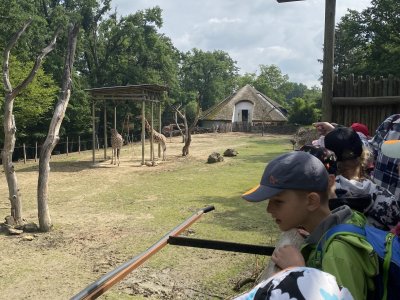 Zoo Lešná