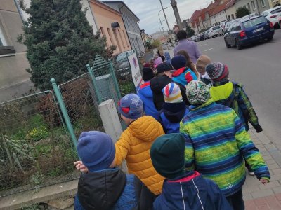 Vycházka za jarní květenou