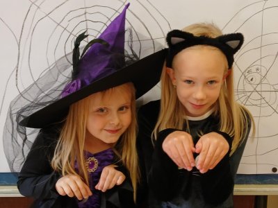 Pavoučci a pavučiny