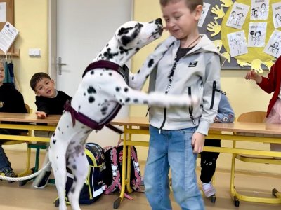 Puntíkatá návštěva