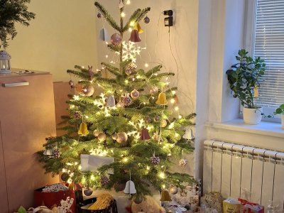 Třídní vánoční besídka