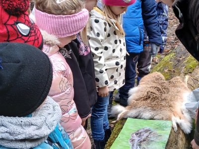 Zimní les očima zajíčka Ušáčka