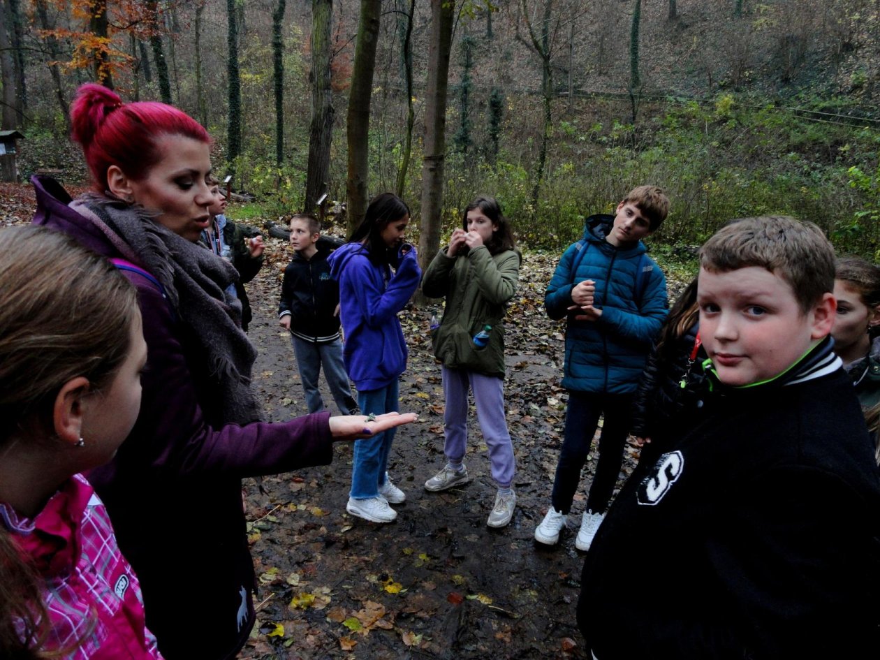 Lesní společenství a houby