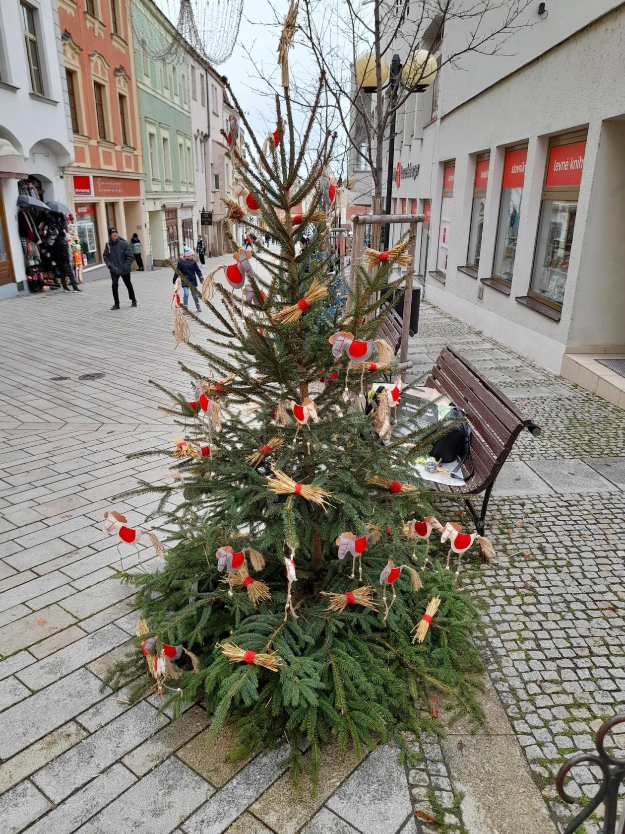 Koníci nám přinesli advent