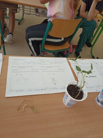 Zkoumáme životní podmínky rostlin