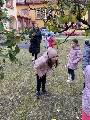 Ptačí pátek aneb projektový den