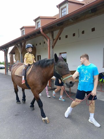 Havránek