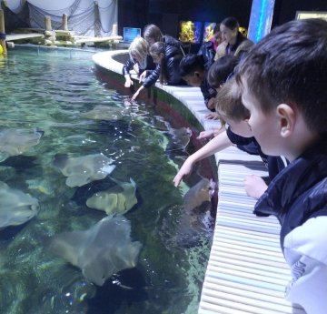 ZOO Zlín
