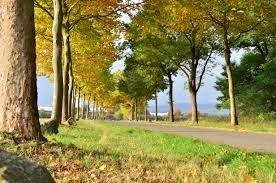 Den Země
