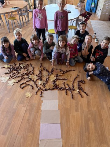 I stromy mají svůj den