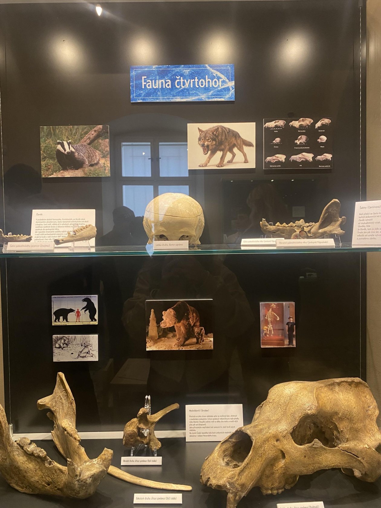 Zpestření výuky v Minoritském klášteře