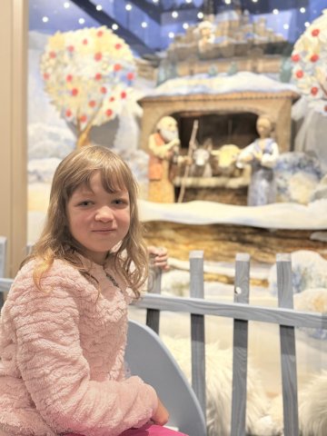 Ohlédnutí za prosincem