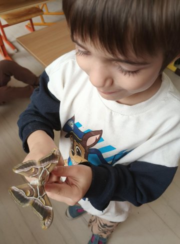 Setkání s martináčem pajasanovým