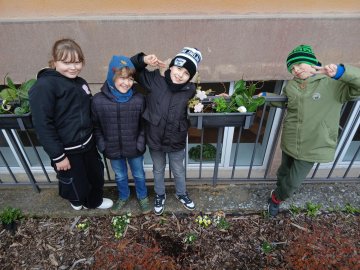 Kytičky v truhlíčku