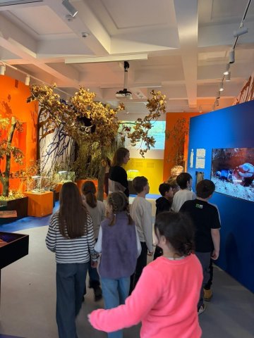 Krajina zavátá časem