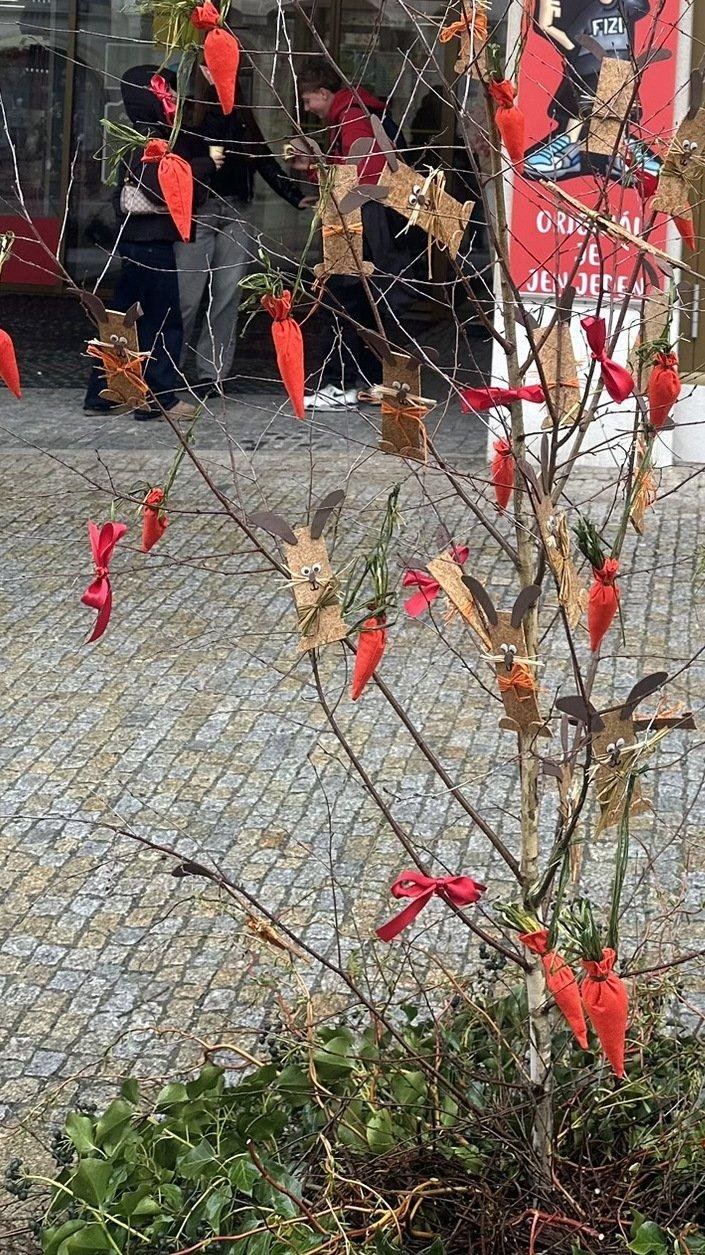 Naše velikonoční břízka je v plné kráse!