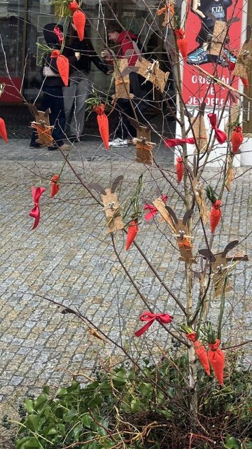 Naše velikonoční břízka je v plné kráse!