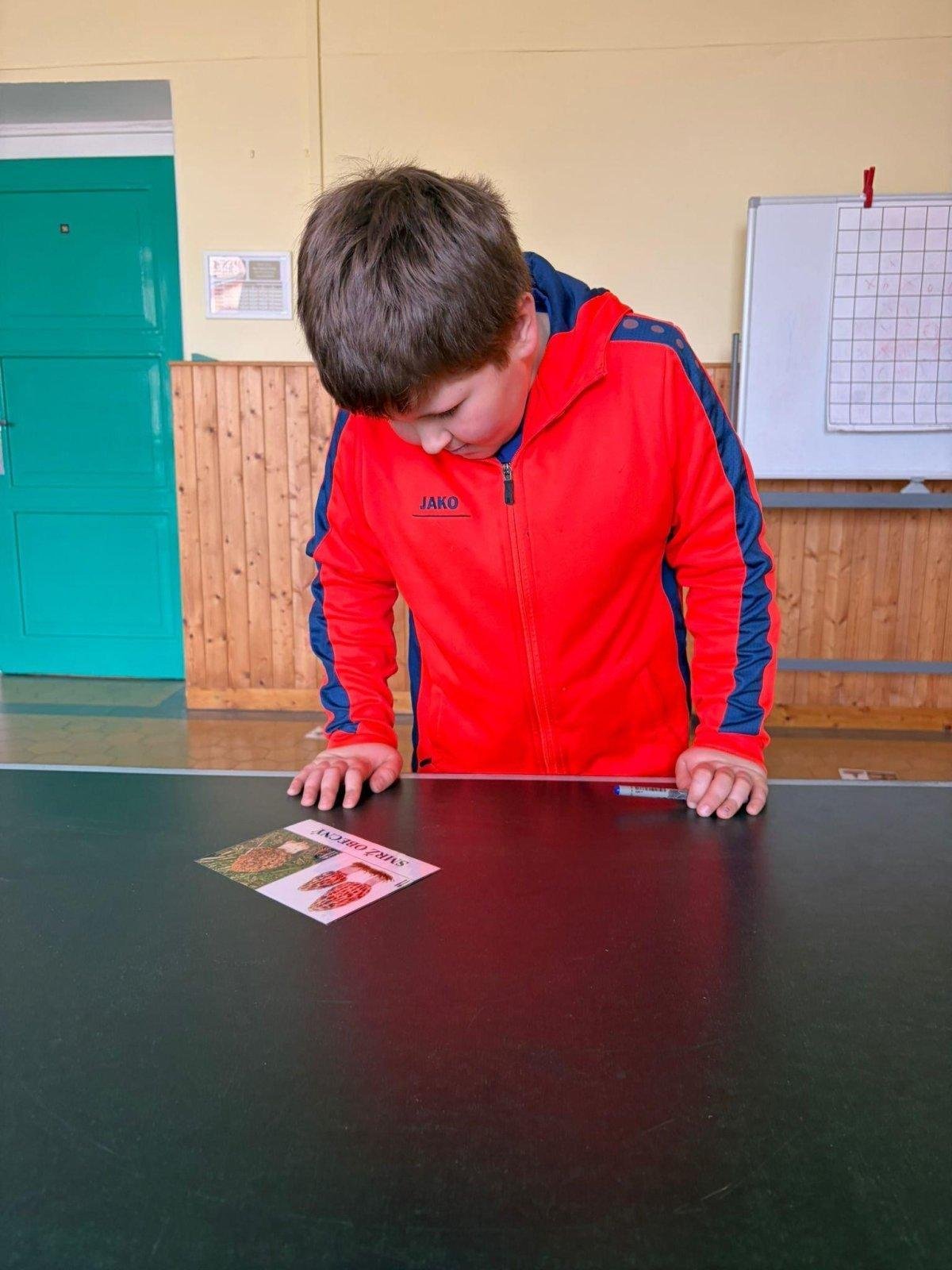 Houby, houby, houbičky...