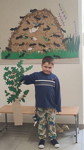 Jak se žije v mraveništi