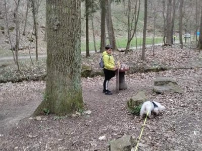 Adámek našel muchomůrku